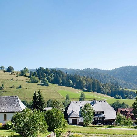 Schwarzwaldperle Apartman Todtmoos Kültér fotó